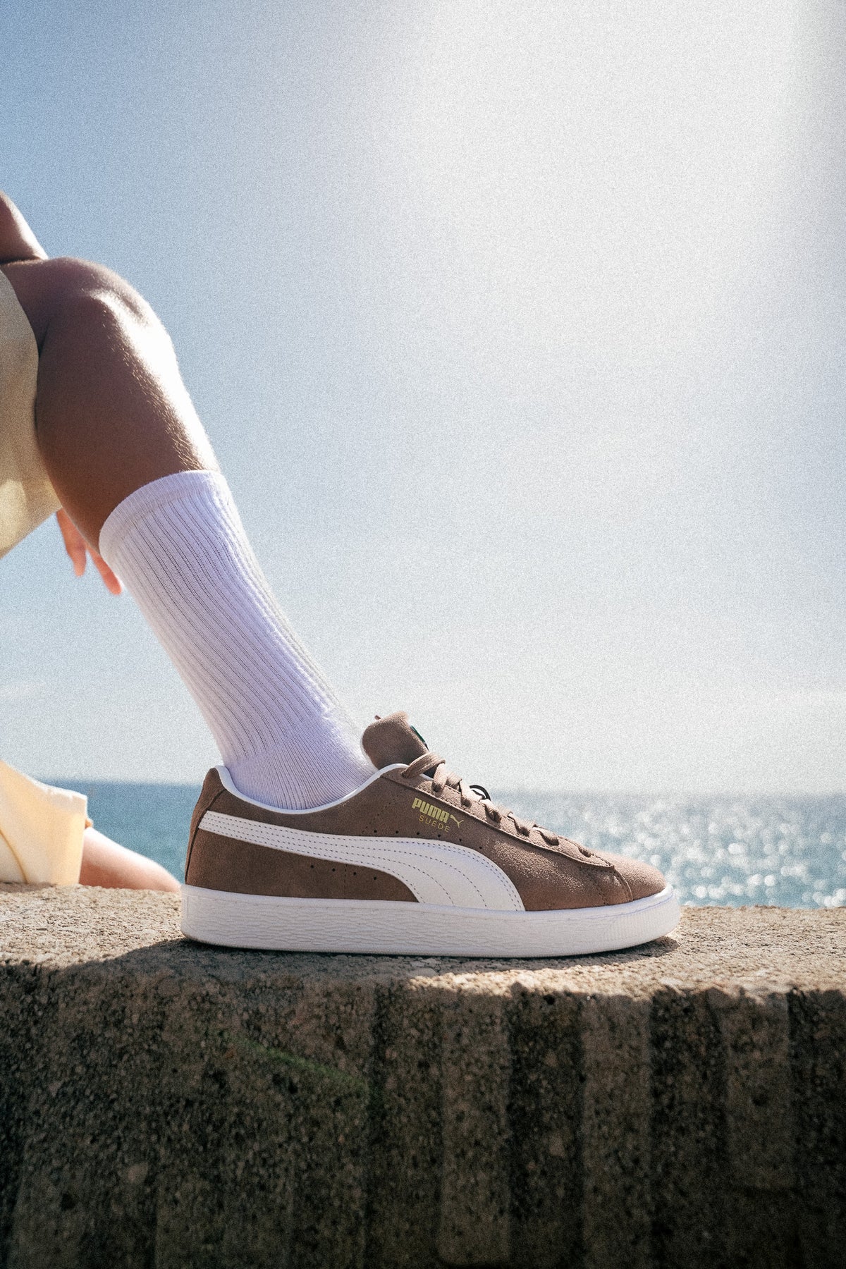 Suede Classic Haute Coffee White