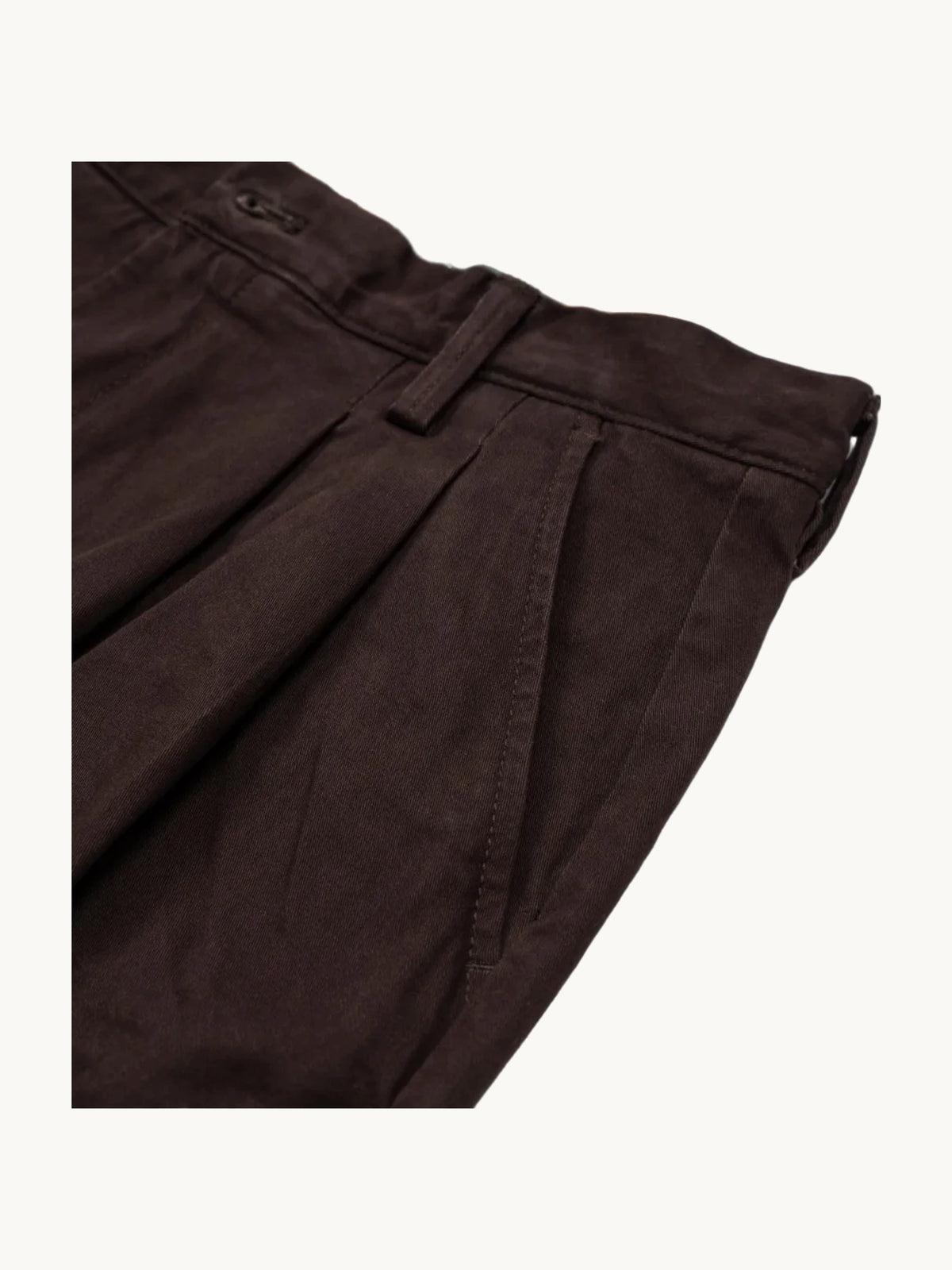 Pantalon Peached Heavy Twill Pleated MOLE