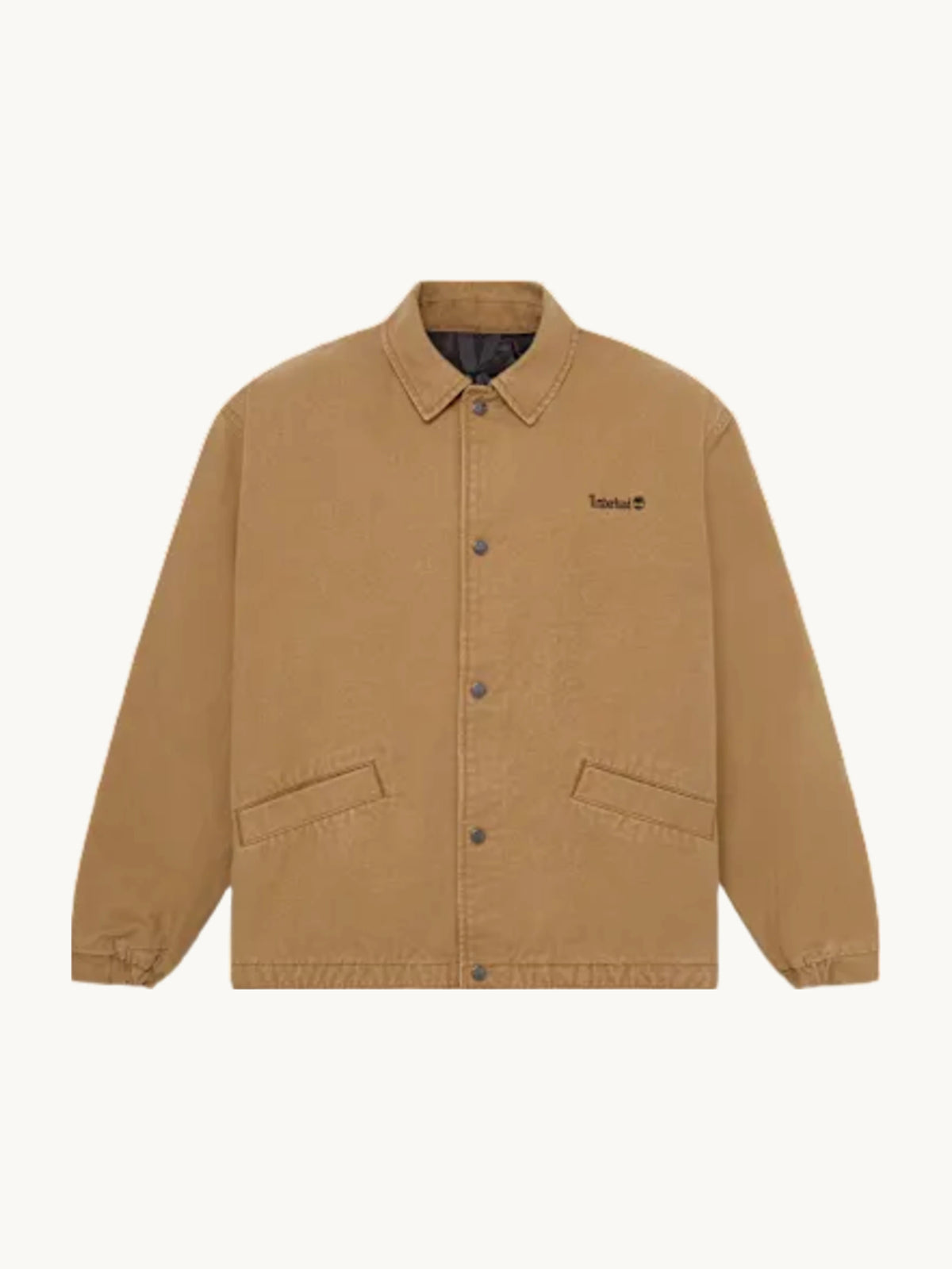 Veste de sport Ermine
